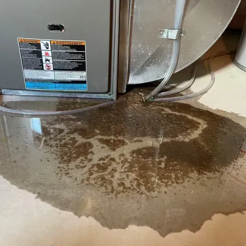 Appliance Leak Cleanup in Wheat Ridge, CO